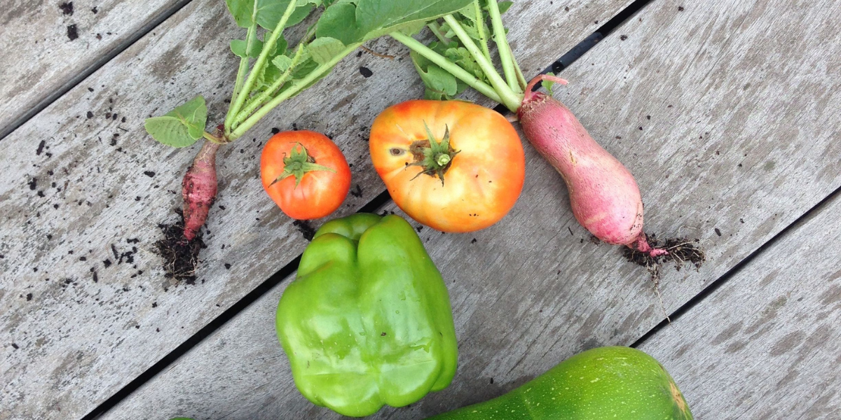 Selection of vegetables